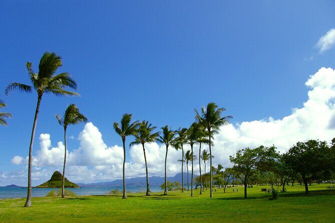 Oahu Highlights Private Guided Tour: Landmarks & Architecture - What You’ll Love About This Tour