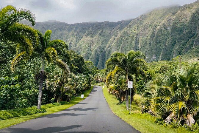 Oahu Highlights Private Tour: Nature, Views & Turtles in 6 Hours - Our Take: Who Will Love This Tour?
