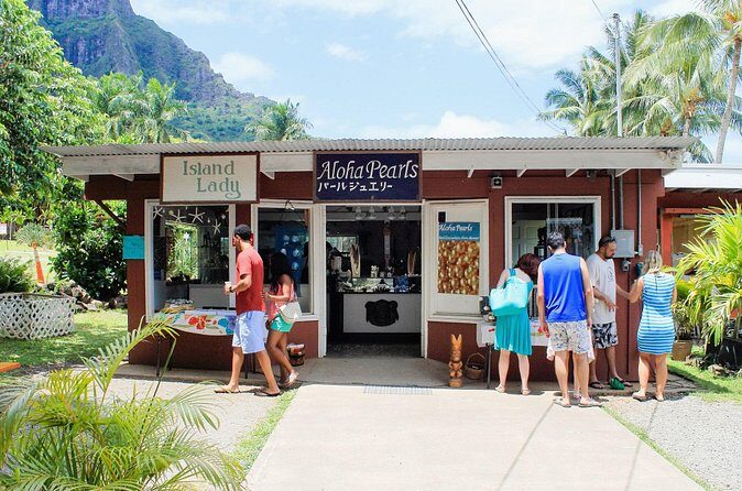 Oahu Highlights Private Tour: Nature, Views & Turtles in 6 Hours - Final Thoughts