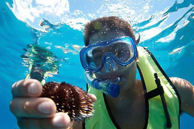 Oahu: Hilton Hawaiian Village Snorkel Tour - Key Points
