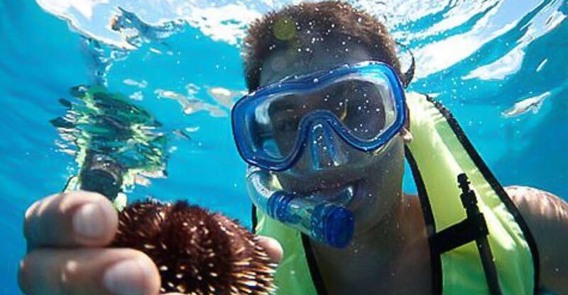 Oahu: Hilton Hawaiian Village Snorkel Tour - Authentic Experiences and Traveler Insights