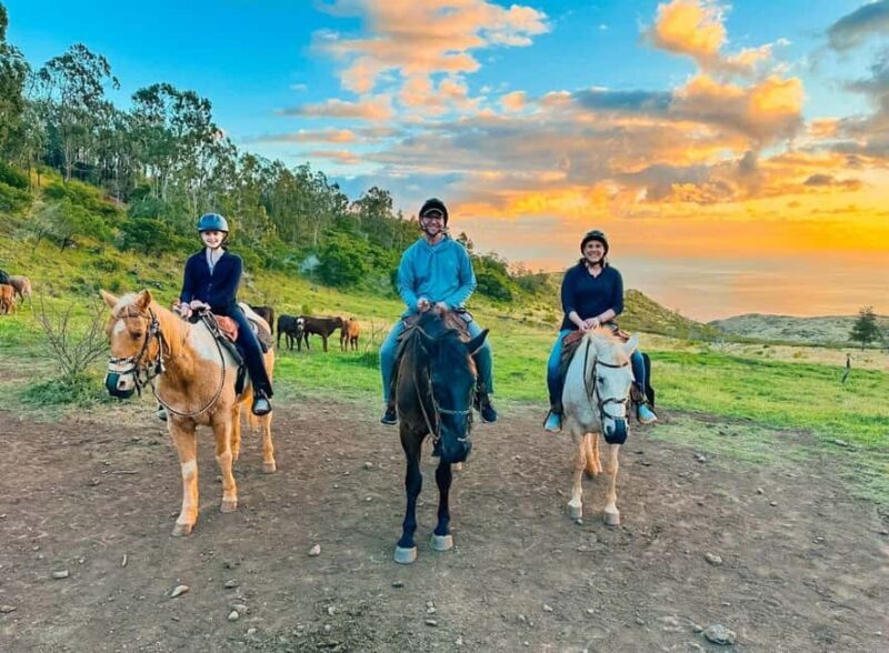 Oahu: Horseback Riding Sunshine or Sunset Tour - What To Expect from the Tour