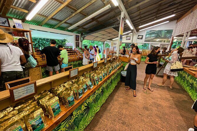 Oahu Island Experience feat the North Shore (Small Group Tour) - Who Will Love This Tour?