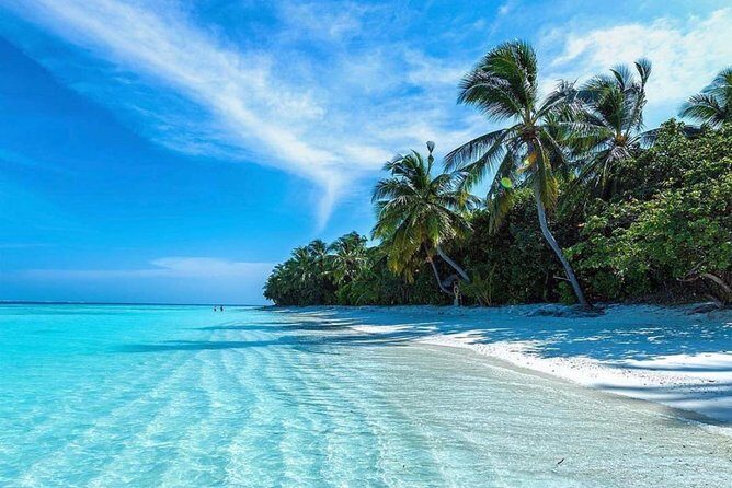 Oahu Island Highlights in Small Group | 30 Spots | ~10 Stops - What to Expect from Your Day on Oahu