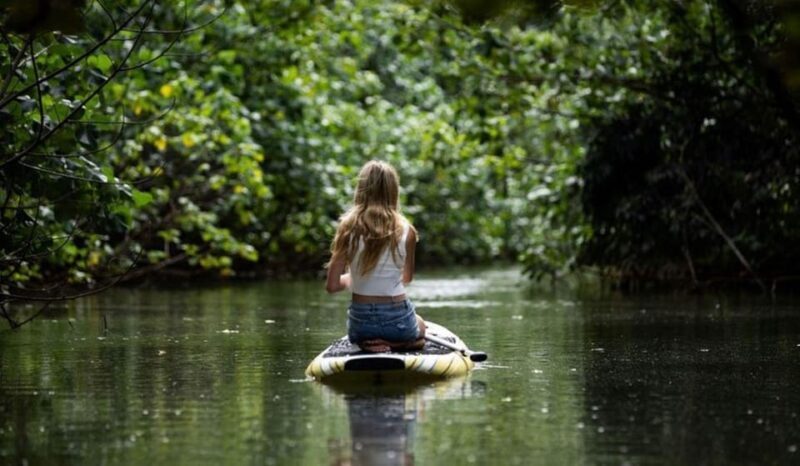 Oahu: Kahana River Stand-Up Paddleboard Rental - What You Can Expect from the Kahana Paddleboard Experience
