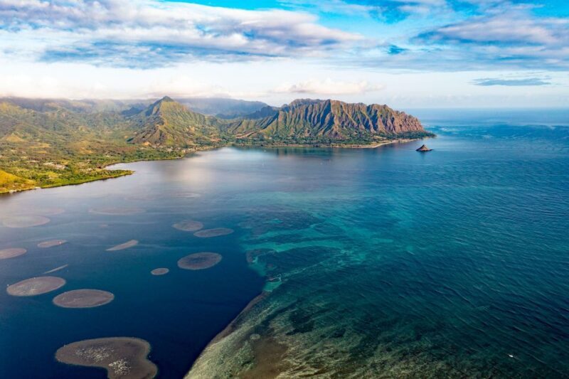 Oahu: Kaneohe Bay Coral Reef Kayaking Rental - An In-Depth Look at the Experience