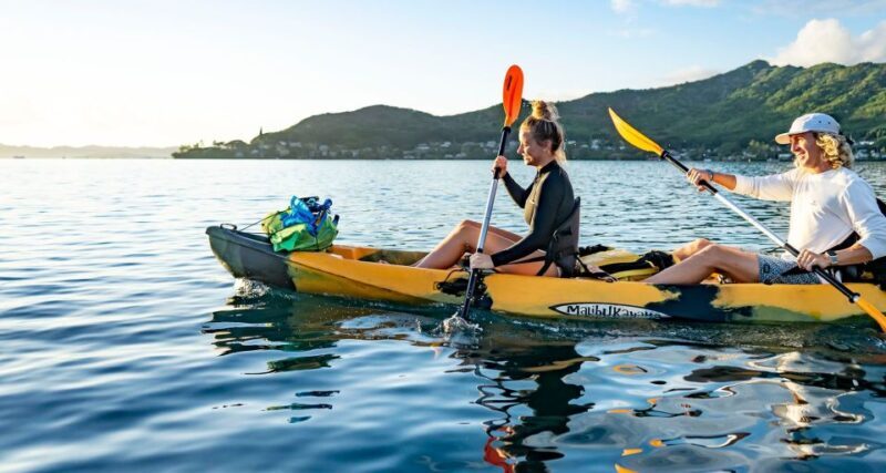 Oahu: Kaneohe Bay Coral Reef Kayaking Rental - Final Thoughts: The Real Value of Self-Guided Kayaking