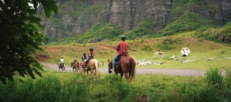 Oahu: Kualoa Hills and Valleys Horseback Riding Tour - Who Will Enjoy This Tour?