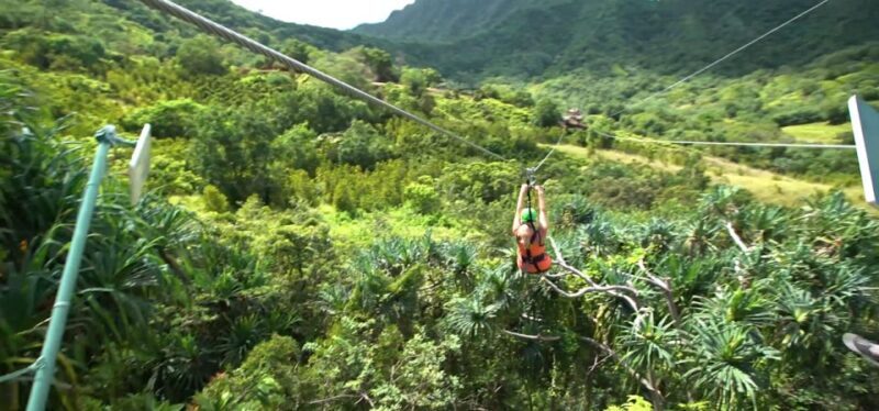 Oahu: Kualoa Jurassic Valley Zipline Tour - Price and Value