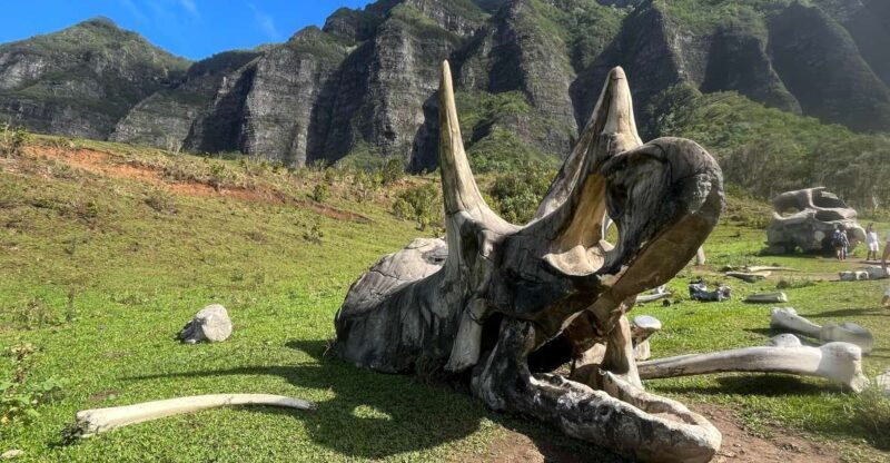 Oahu: Kualoa Movie Sites, Jungle, and Buffet Tour Package - Oahu: Kualoa Movie Sites, Jungle, and Buffet Tour Package — An Honest Review