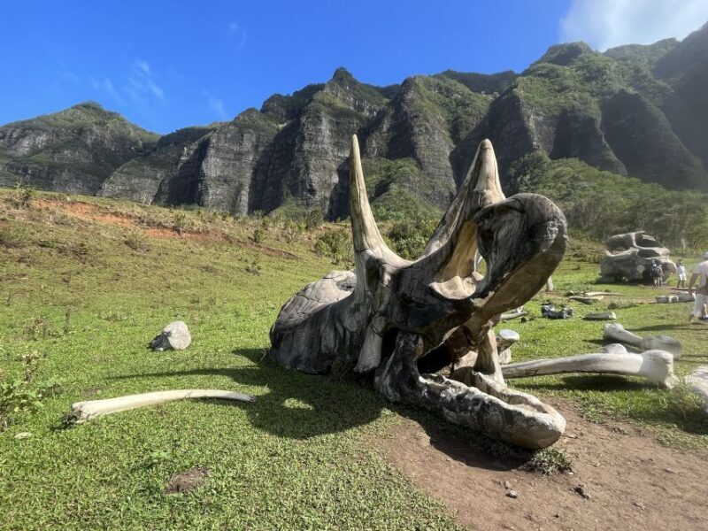 Oahu: Kualoa Movie Sites, Jungle, and Buffet Tour Package - Transportation, Timing, and Group Size