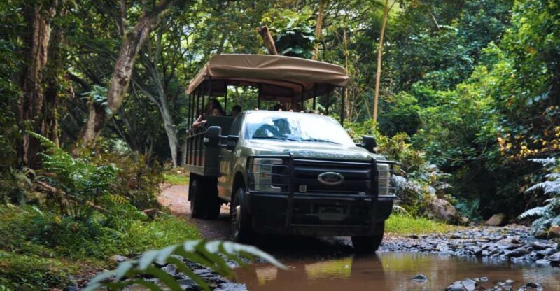Oahu: Kualoa Open Air Jungle Expedition Tour - Introduction: What to Expect from the Kualoa Jungle Expedition