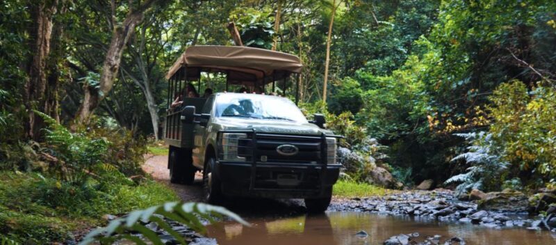 Oahu: Kualoa Open Air Jungle Expedition Tour - Riding Through the Hakipuu Rainforest