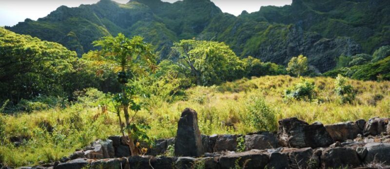 Oahu: Kualoa Open Air Jungle Expedition Tour - FAQs