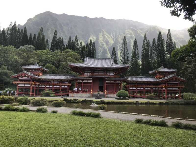 Oahu: Manoa Falls Hike and east side beach day - Authentic Experiences and Guest Feedback