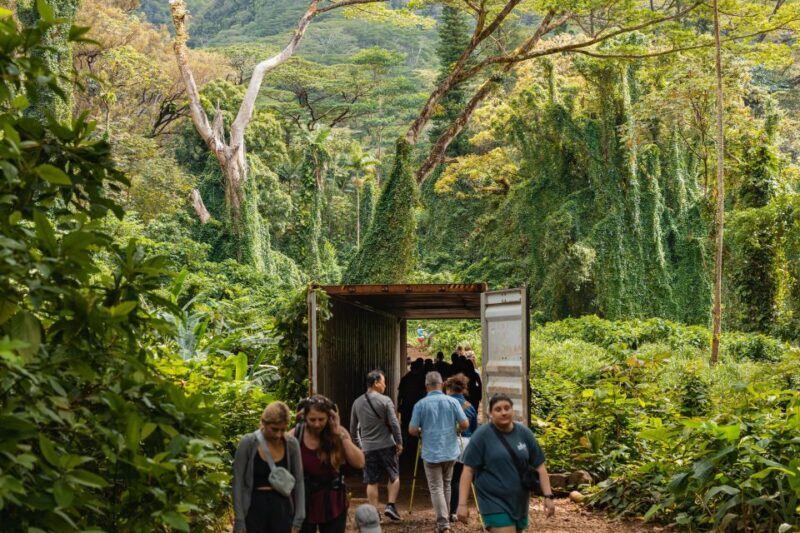 Oahu: Manoa Falls Waterfall Hike with Lunch and Transfers - Detailed Breakdown of the Experience
