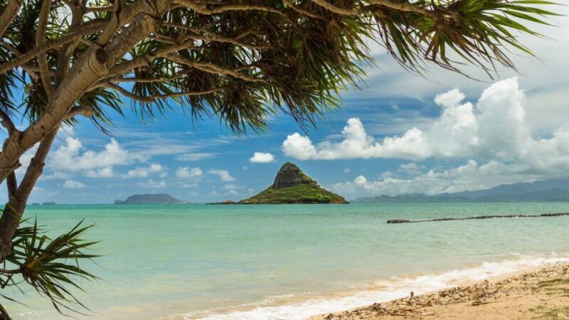 Oahu: North Shore Circle Island Small-Group Tour - A Welcome Introduction to Oahu’s Highlights