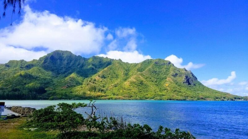 Oahu: North Shore Circle Island Small-Group Tour - Final Thoughts: The Right Fit for Many Travelers