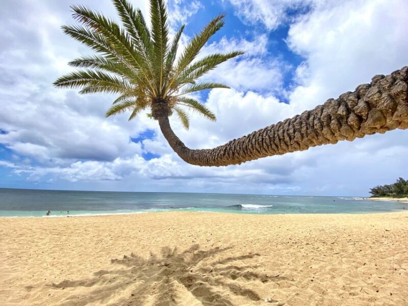 Oahu: North Shore Experience and Dole Plantation - Who Should Consider This Tour?