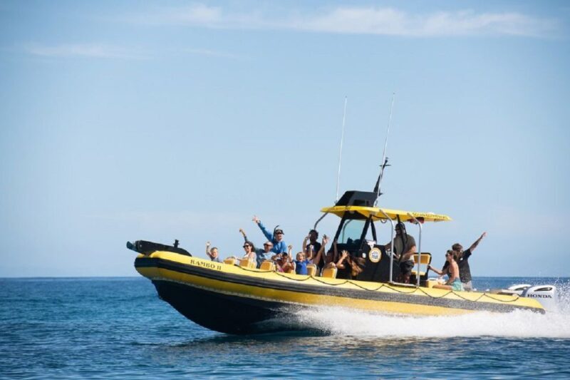 Oahu: North Shore Marine Life Tour from Haleiwa - Cost and Value
