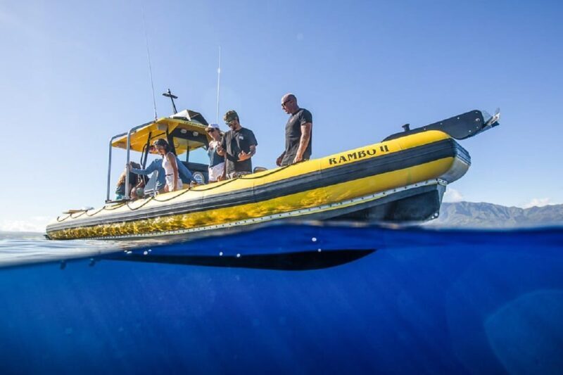 Oahu: North Shore Snorkeling Tour from Haleiwa - A Closer Look at the Experience