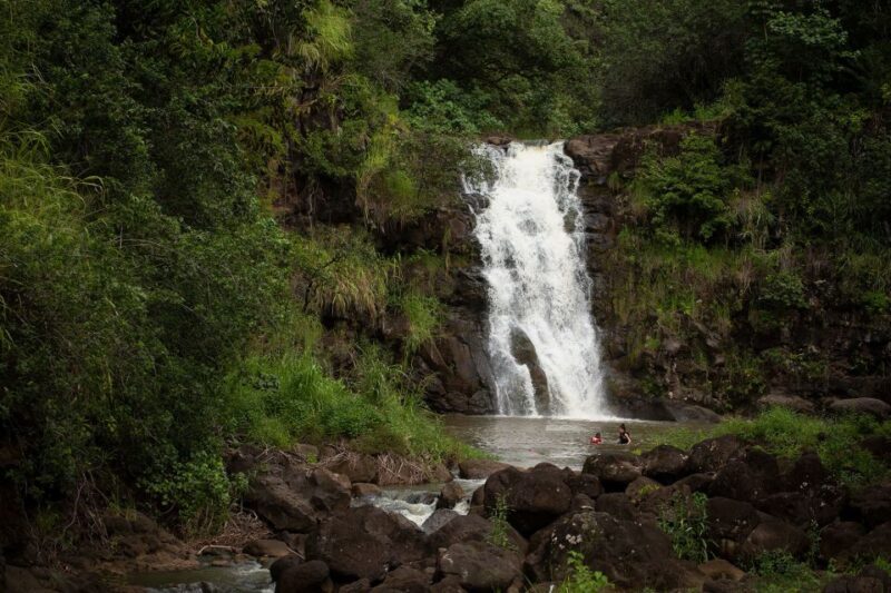 Oahu: North Shore Waterfall Swim - Exploring the North Shore Waterfall Swim Tour: A Balanced Look