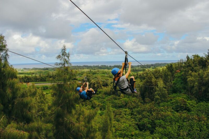 Oahu: North Shore Zip Line Adventure with ATV and Farm Tour - Authenticity and Customer Feedback