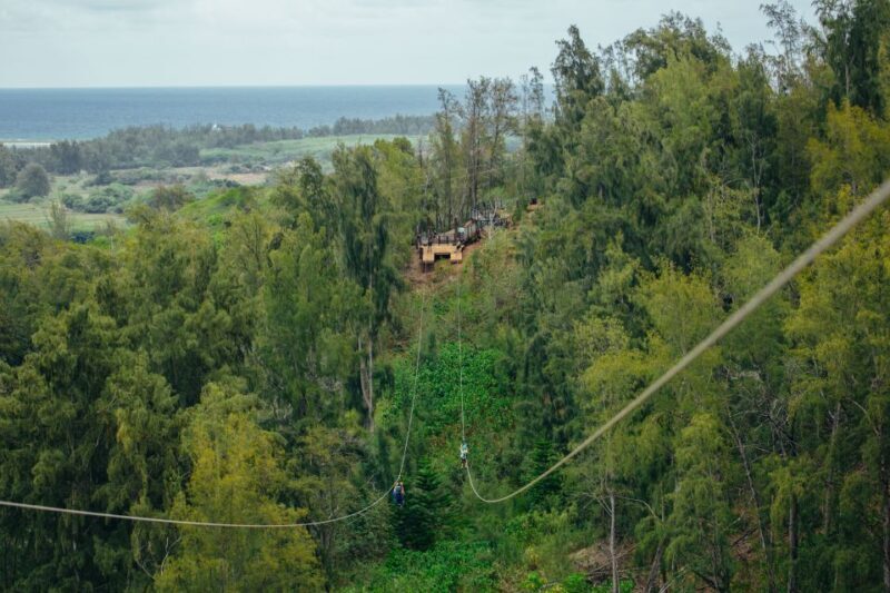 Oahu: North Shore Zip Line Adventure with ATV and Farm Tour - Final Thoughts