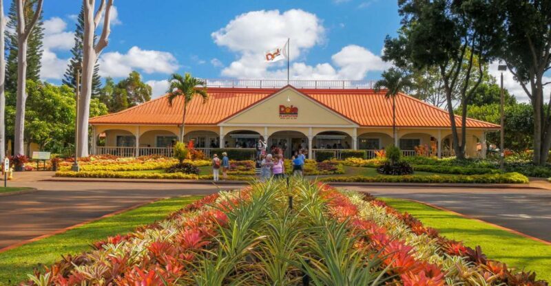 Oahu: Oahu Ultimate Grand Circle Island Tour - Starting the Day: Meeting Up and First Impressions