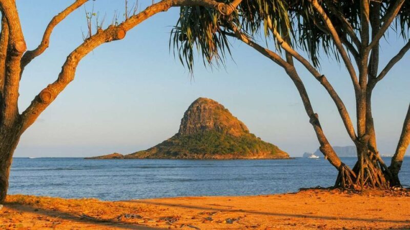 Oahu: Oahu Ultimate Grand Circle Island Tour - Turtle Beach and North Shore Adventures