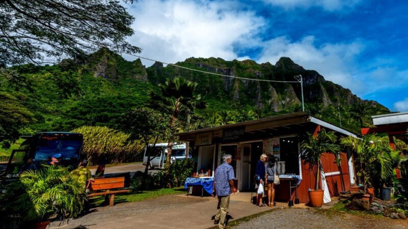Oahu: Oahu Ultimate Grand Circle Island Tour - Dole Plantation and Green World Coffee Farm