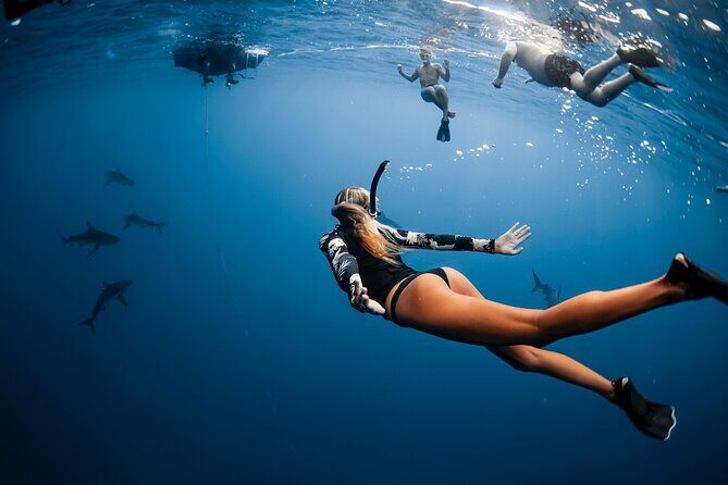 Oahu Open Water Shark Diving Experience - Photography and Memories