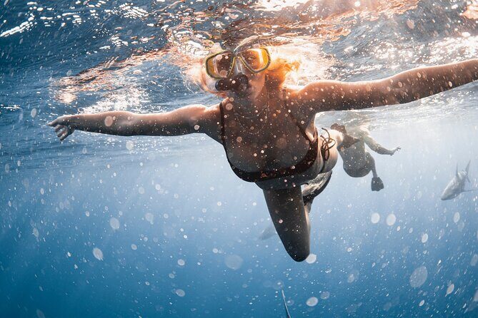 Oahu Open Water Shark Diving Experience - Final Thoughts