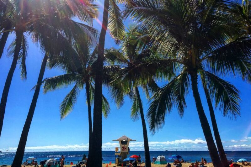 Oahu: Pearl Harbor and Honolulu City Tour - Who Will Love This Tour?