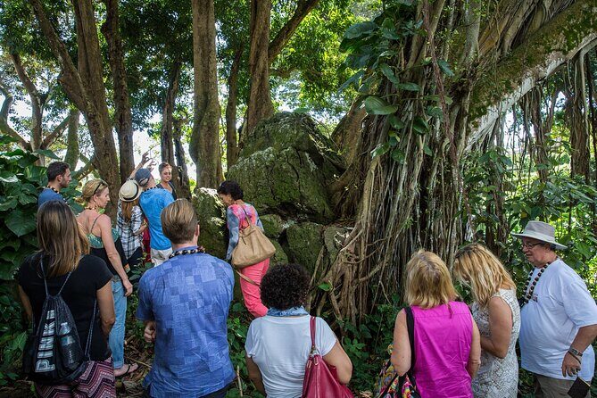 Oahu Personalized Private Tour - Final Summary
