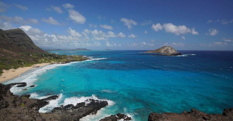 Oahu: Private Best of Oahu Sightseeing Tour - Who Will Love This Tour?