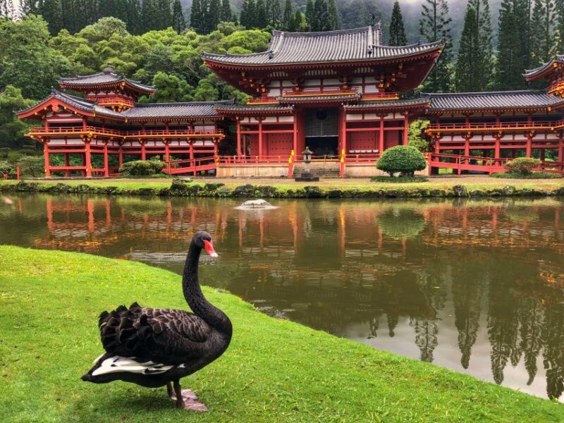 Oahu: Private Best of Oahu Sightseeing Tour - Final Thoughts