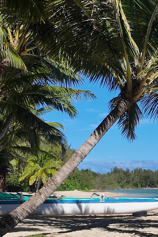 Oahu: Private Full Circle Island Tour - Customizable - Final Thoughts