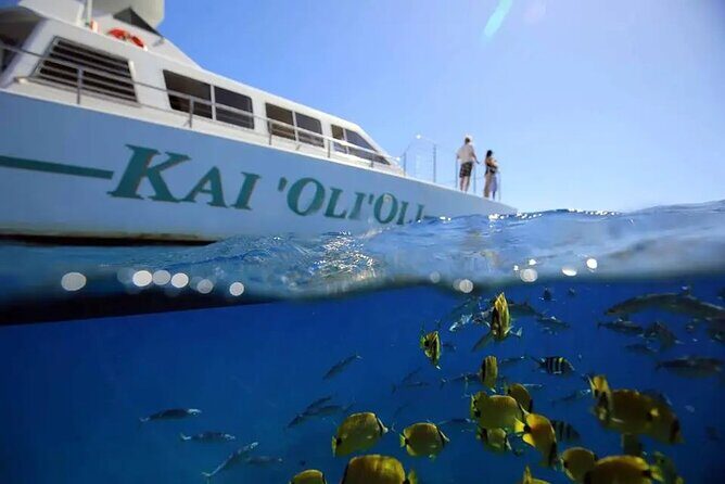 Oahu Private Sunset Snorkel and Dolphin Watch with Hot Buffet - Introduction