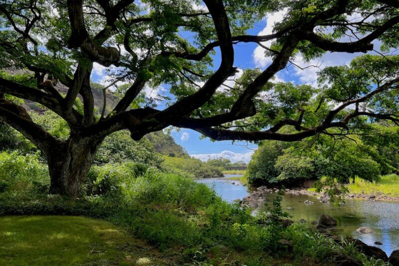Oahu: Private Tour-North Shore feat. Waimea Falls - Pali Lookout: The Grand Finale
