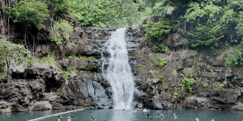 Oahu: Private Tour-North Shore feat. Waimea Falls - Culinary Delights and Local Flavor