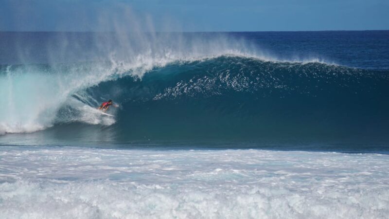 Oahu: Private Tour-North Shore feat. Waimea Falls - Authentic Experiences and Expert Guidance
