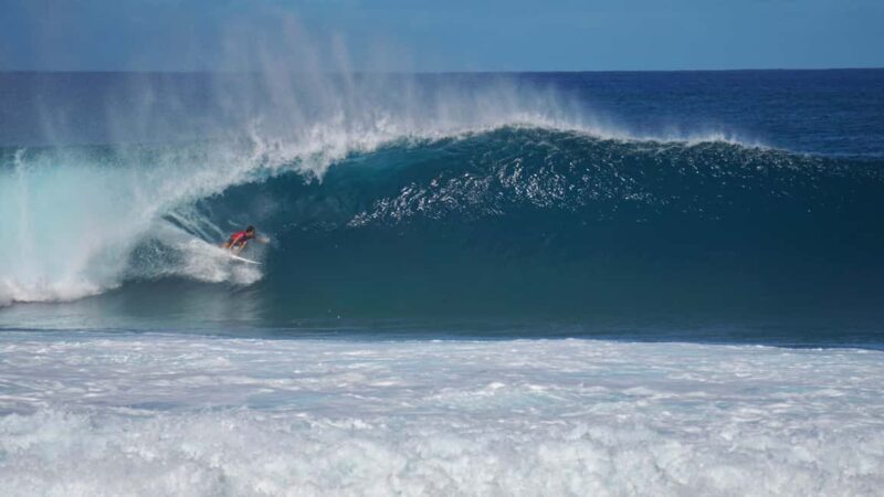 Oahu: Private Tour-North Shore feat. Waimea Falls - Who Should Consider This Tour?