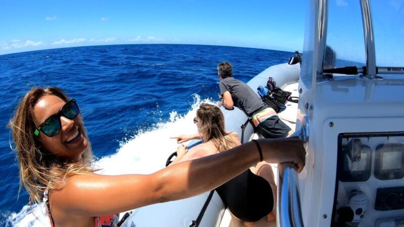 Oahu: Private Whale Watching Adventure - Key Points