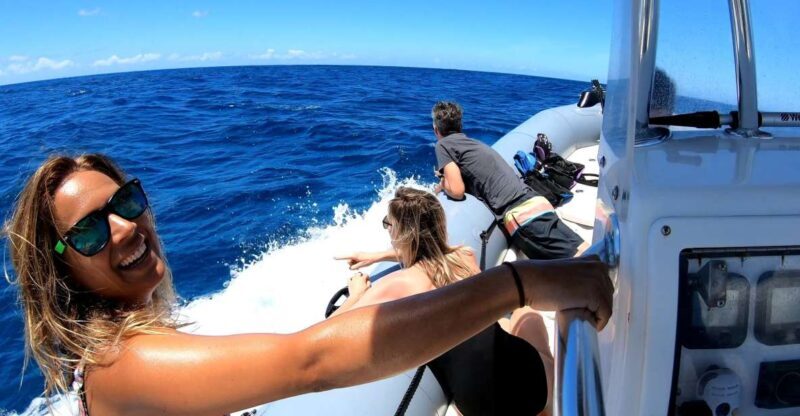 Oahu: Private Whale Watching Adventure - The Value of a Private Tour