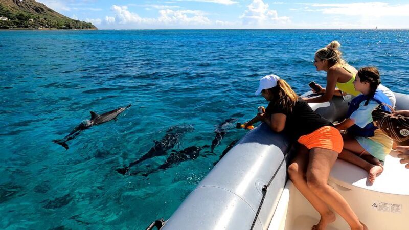 Oahu: Private Whale Watching Adventure - Suitability and Practical Tips