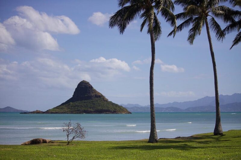 Oahu Sights and Shopping Slingshot Tour - Authenticity and Value: Who Will Love This Tour?