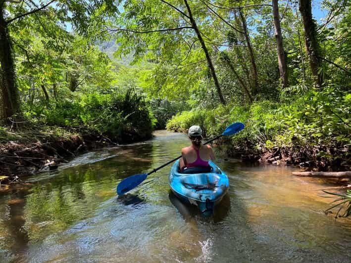 Oahu: Single & Double Kayak 3-Hour River Rental - The Experience in Detail