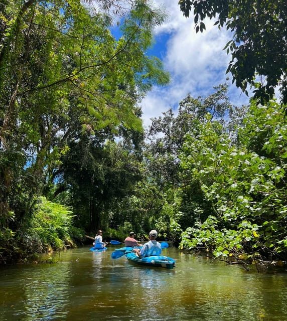 Oahu: Single & Double Kayak 3-Hour River Rental - Who Will Love This Experience?