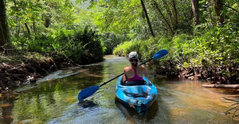 Oahu: Single & Double Kayak 3-Hour River Rental - Final Thoughts